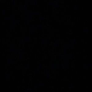 Meet your Posher, Max